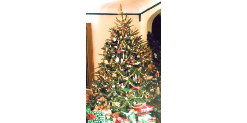 https://ilcshop.i-love-christmas.com/image/cache/catalog/blog_article_pics/garlandPhoto-850x425.jpg https://ilcshop.i-love-christmas.com/image/cache/catalog/blog_article_pics/garlandPhoto-850x425.jpg