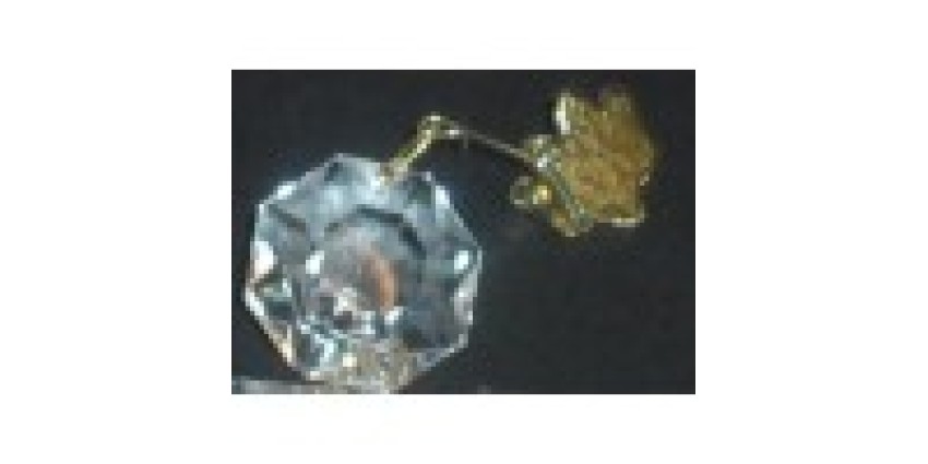 https://ilcshop.i-love-christmas.com/image/cache/catalog/blog_article_pics/ornament%20clip2-100x100-850x425.jpg https://ilcshop.i-love-christmas.com/image/cache/catalog/blog_article_pics/ornament%20clip2-100x100-850x425.jpg